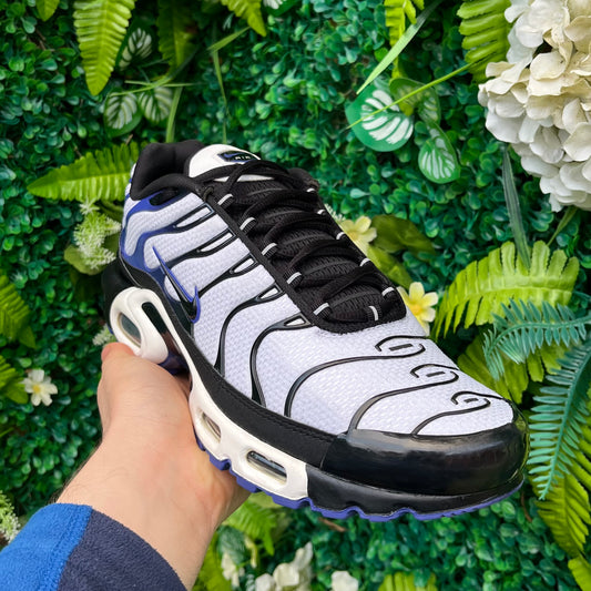 Nike Air Max Plus TN Persian Violet / White