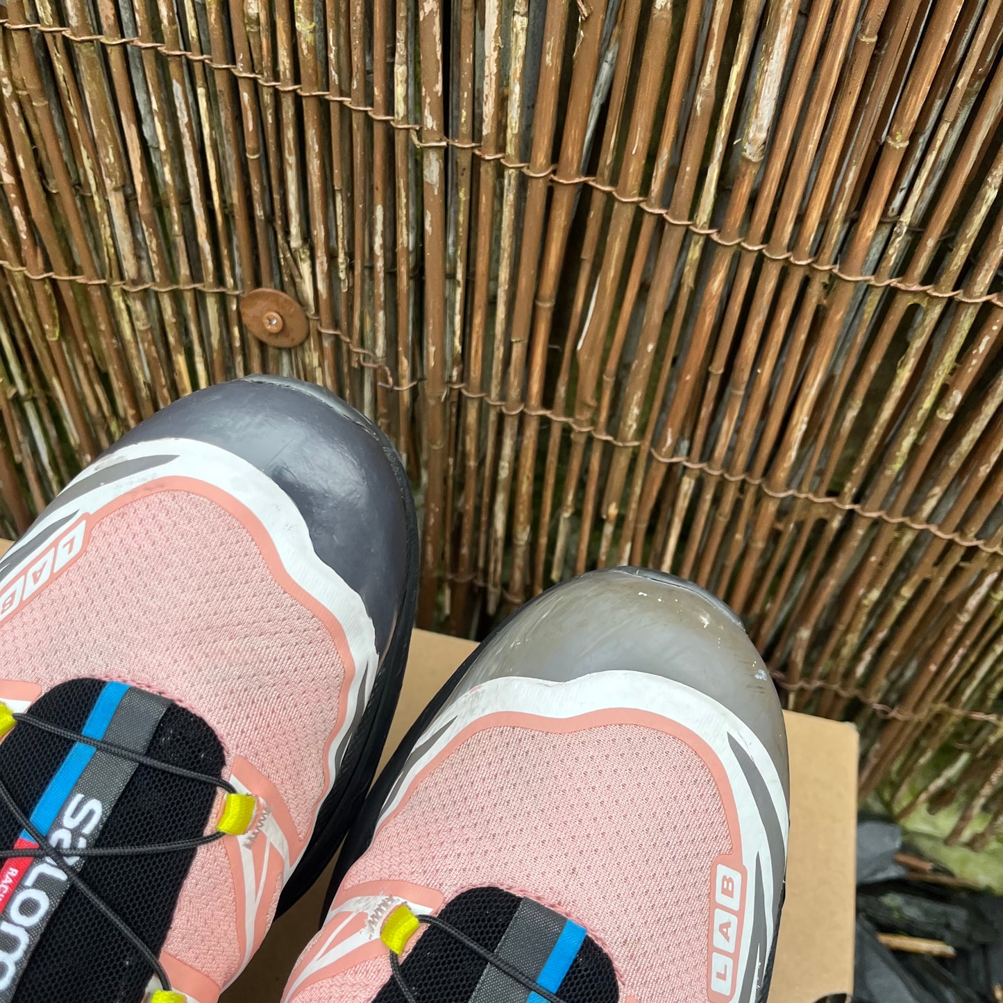 Salomon XT-6 - Blooming Dahlia - UK10