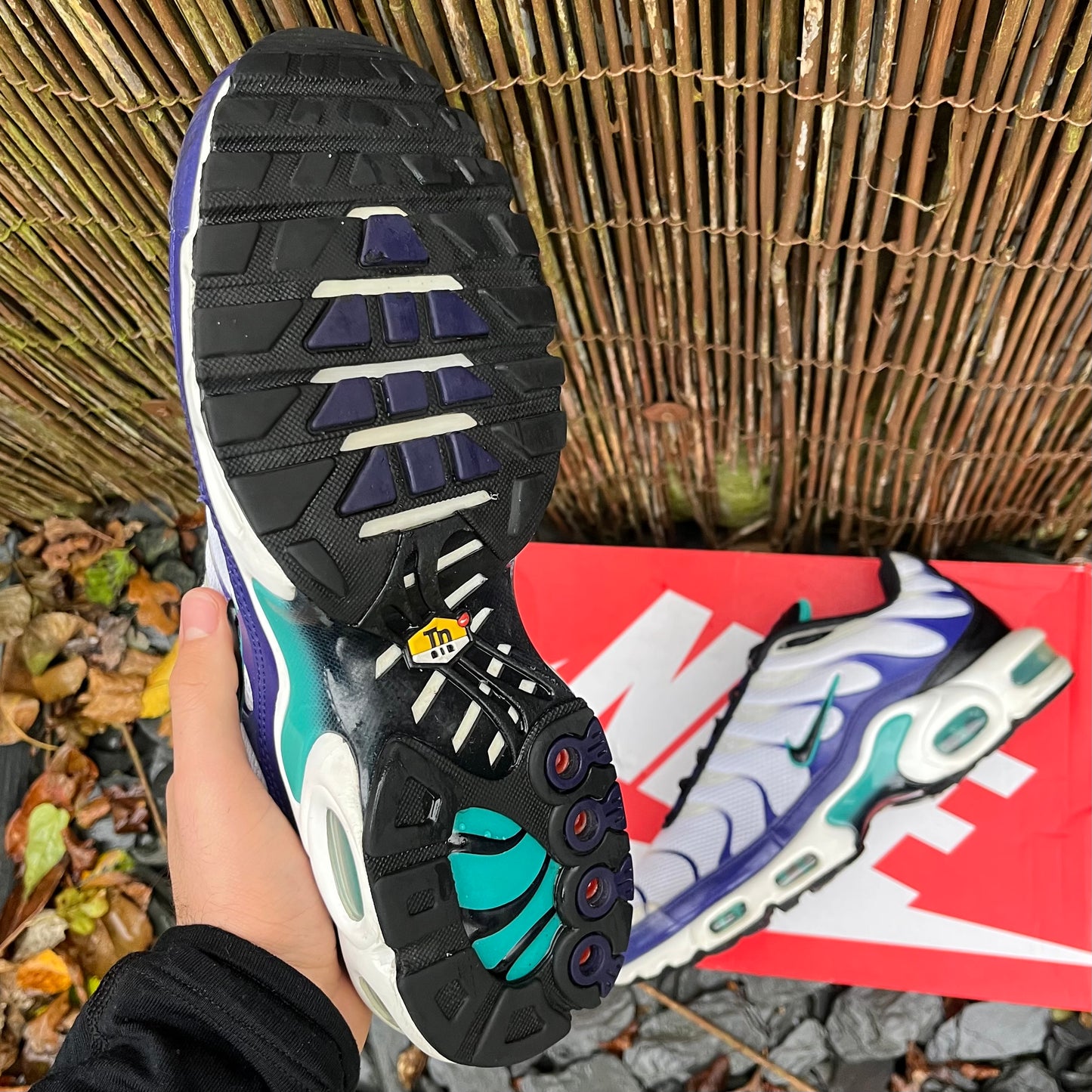 Nike Air Max Plus TN - Grape - UK8.5