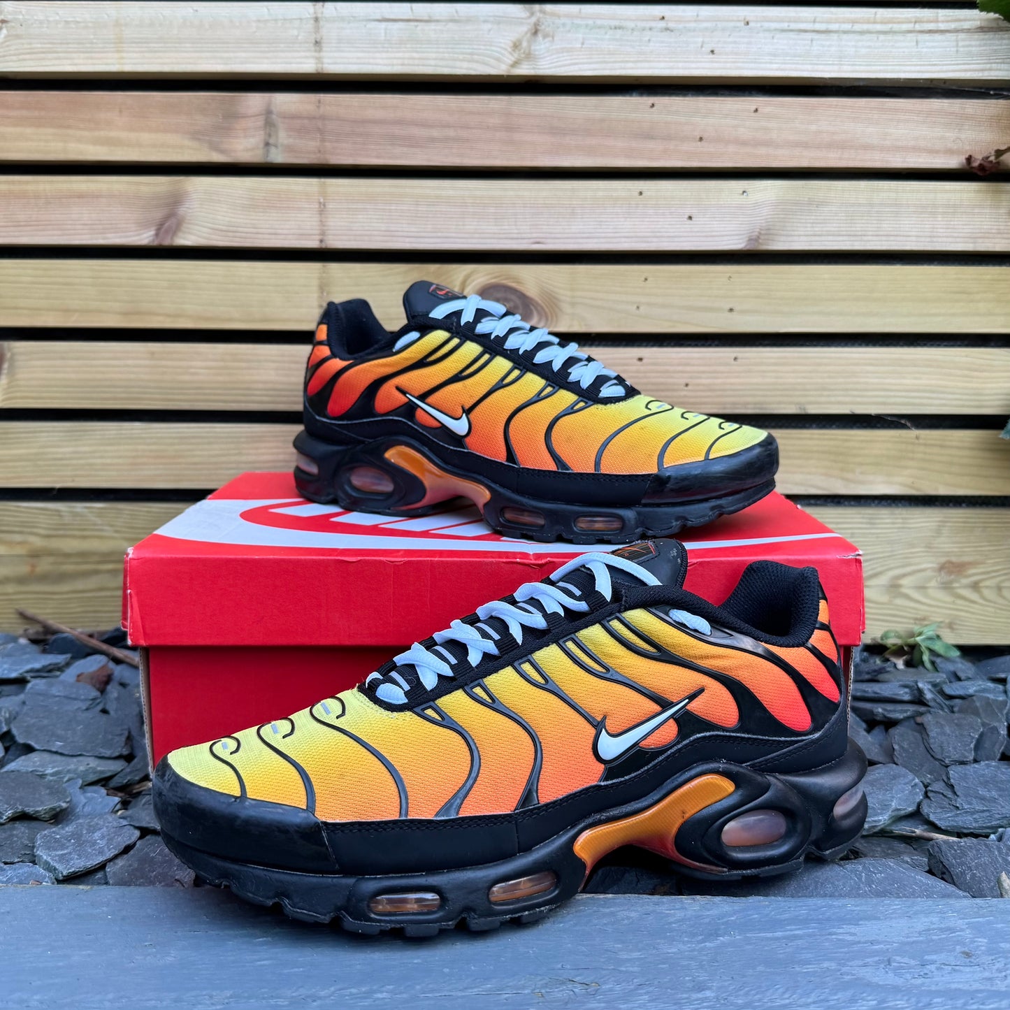 Nike Air Max Plus TN - Tiger 2019 - UK9