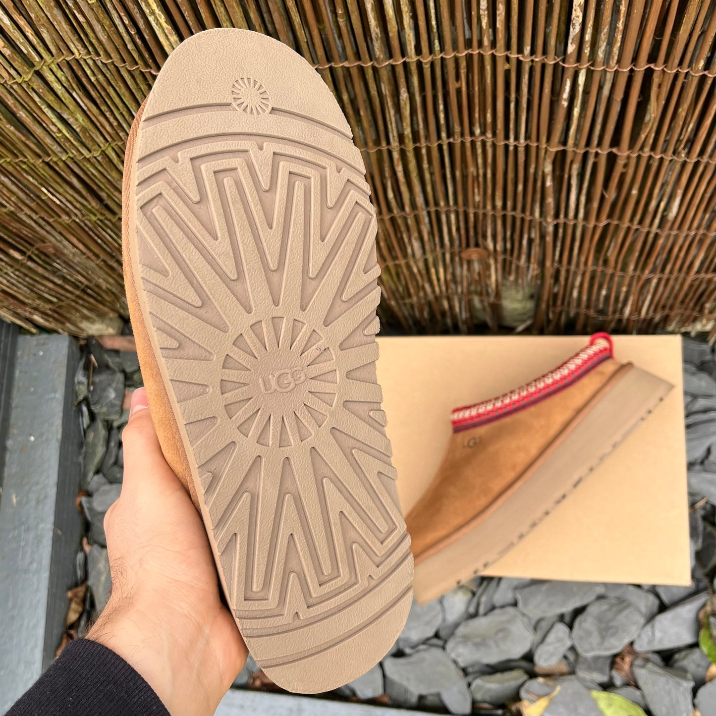 UGG Tazz Platform - Chestnut - UK6