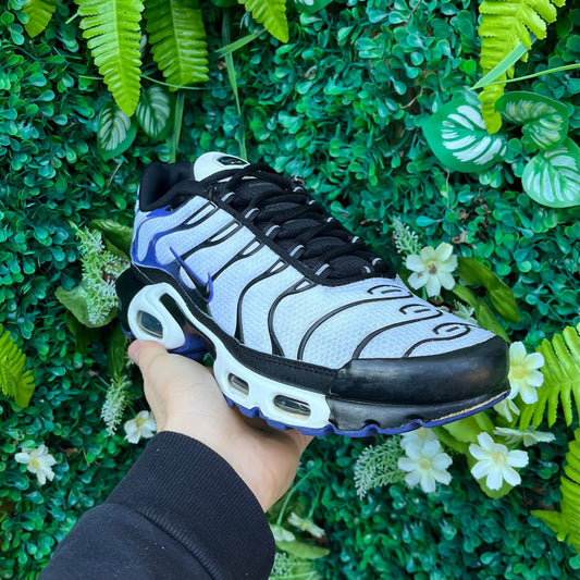 Nike Air Max Plus TN - Persian Violet - UK7