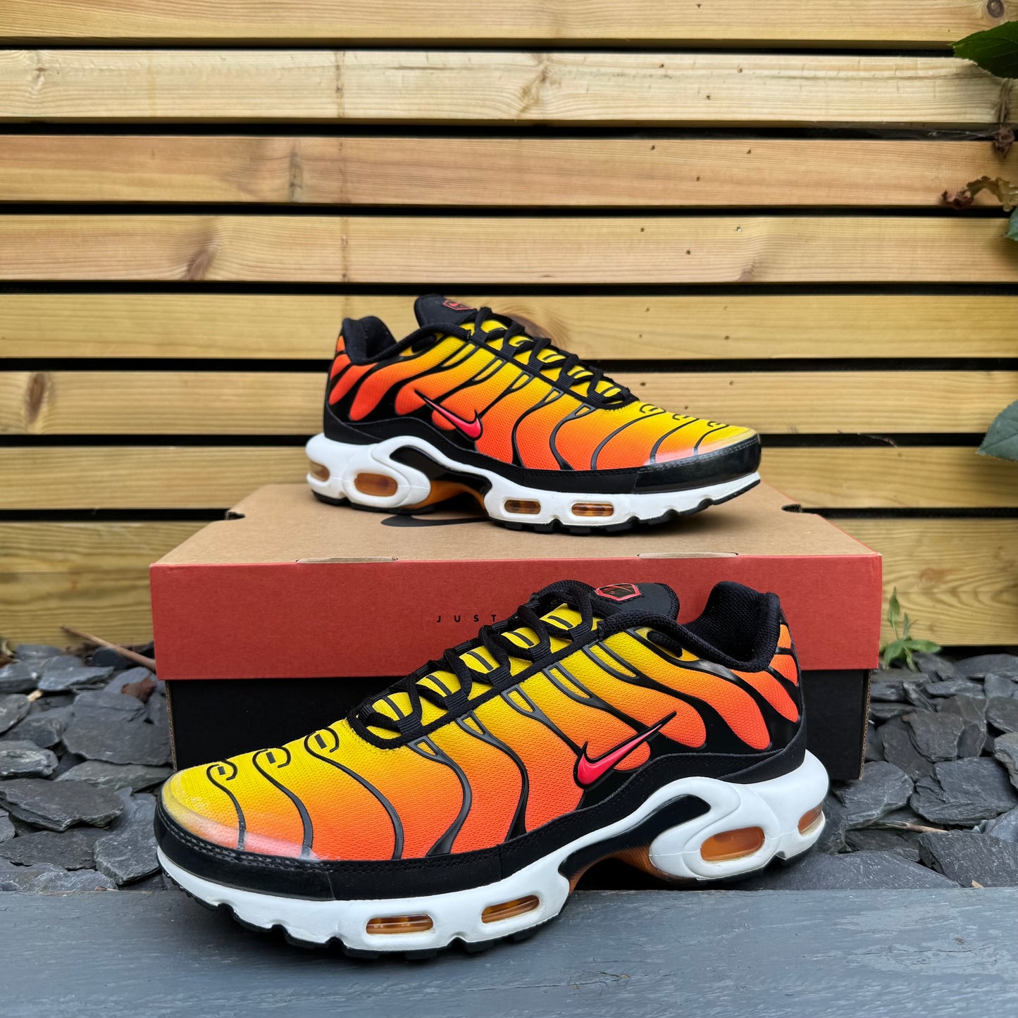 Nike Air Max Plus TN - Sunset 2024 - UK9