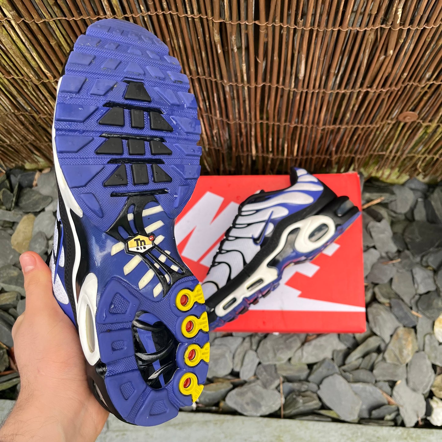 Nike Air Max Plus TN Persian Violet / White