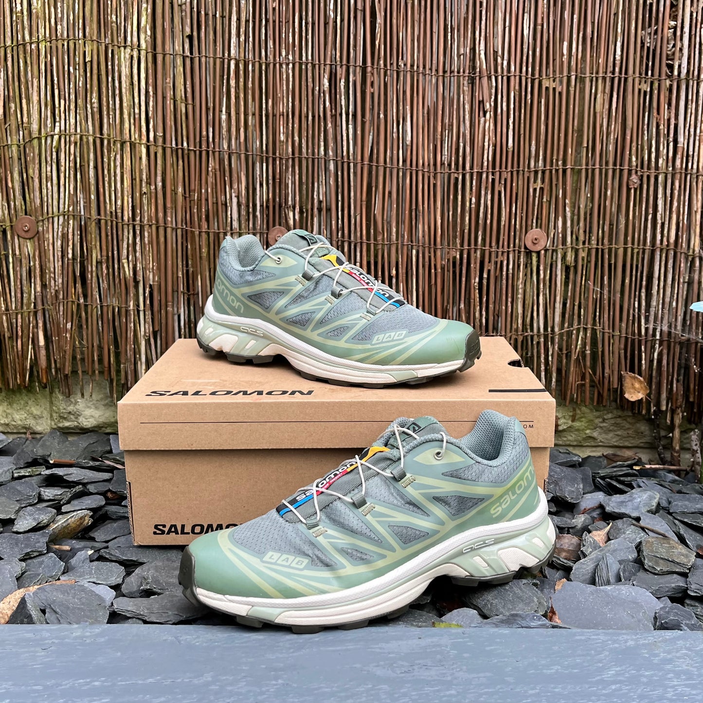 Salomon XT-6 - Laurel Wreath - UK8