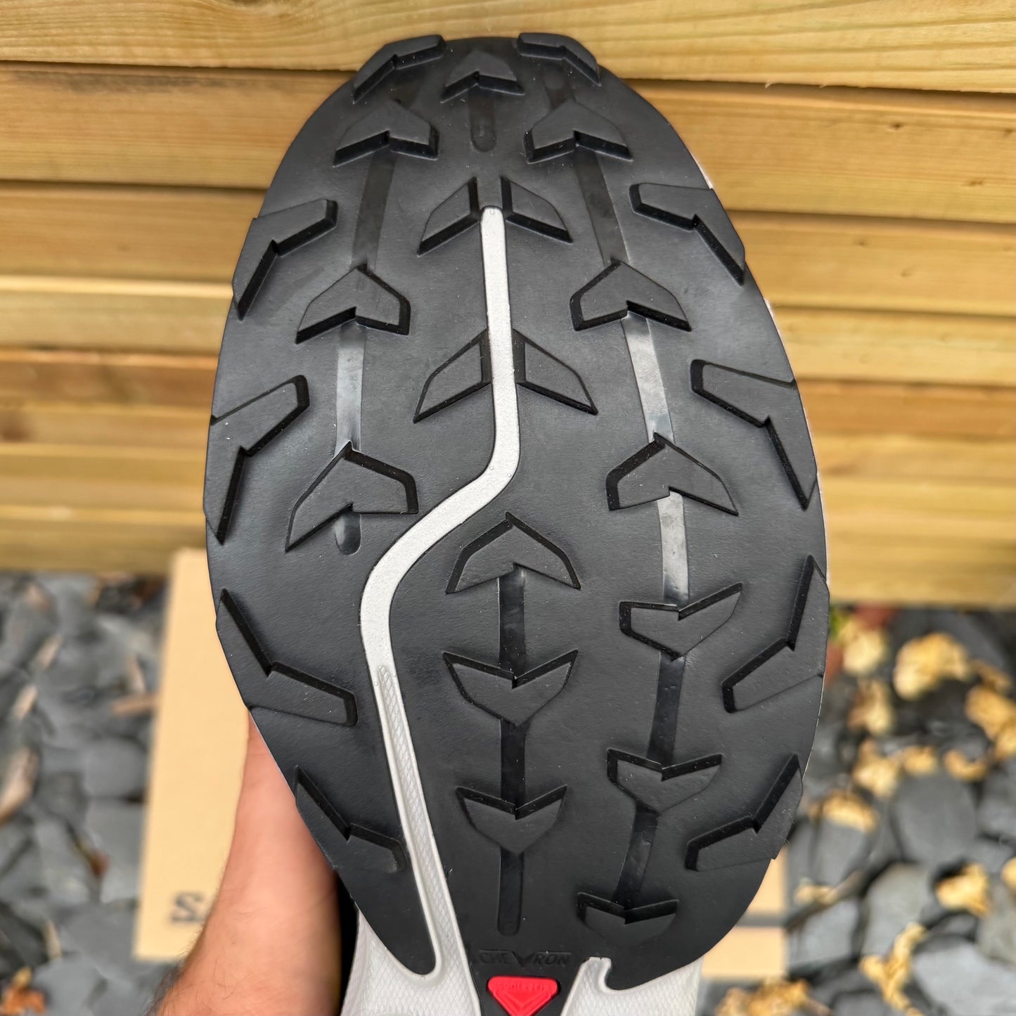Salomon XT-6 - Alloy / Black / Dark Citron - UK11.5 - Brand New