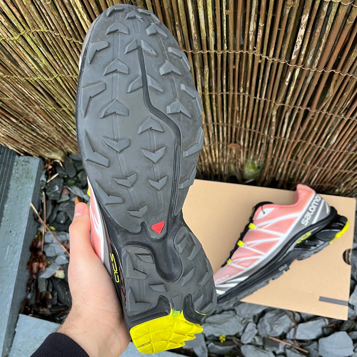 Salomon XT-6 - Blooming Dahlia - UK10