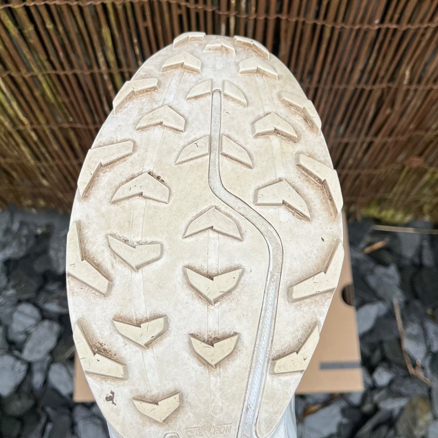 Salomon XT-6 White