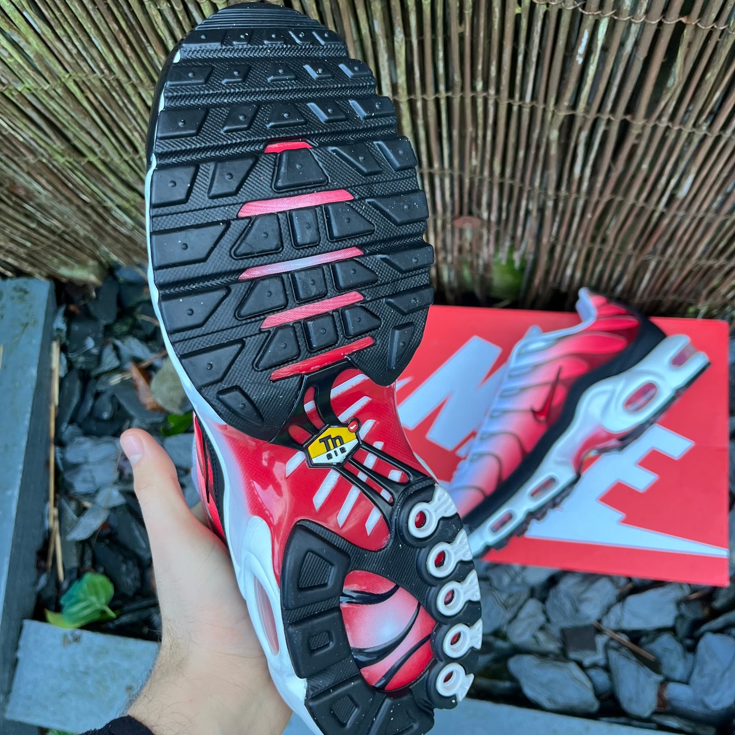 Nike Air Max Plus TN - Gym Red - UK9