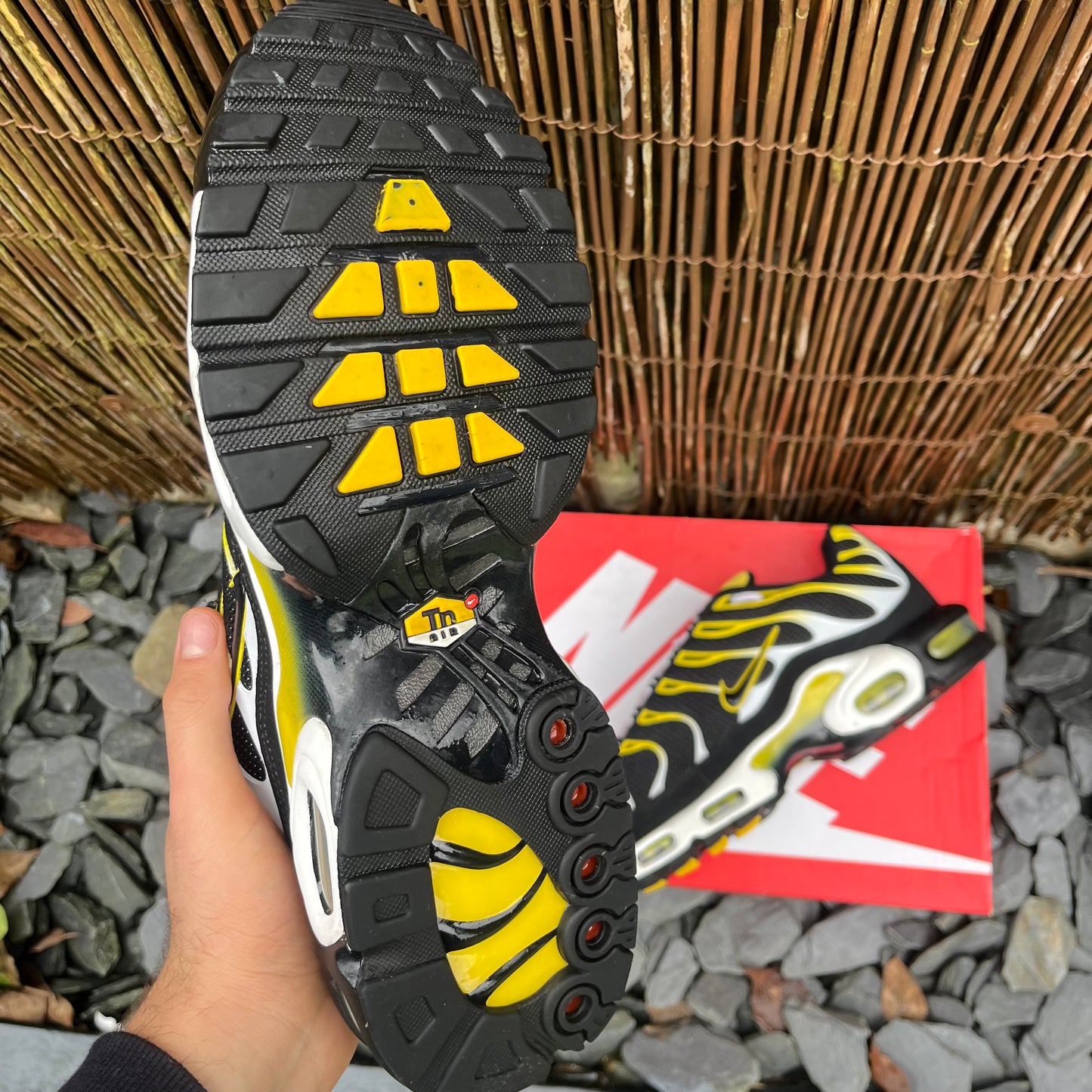 Nike Air Max Plus TN Black / Tour Yellow - UK11