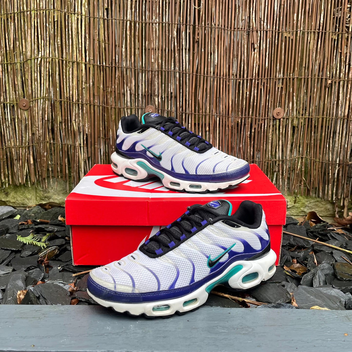 Nike Air Max Plus TN - Grape - UK8.5