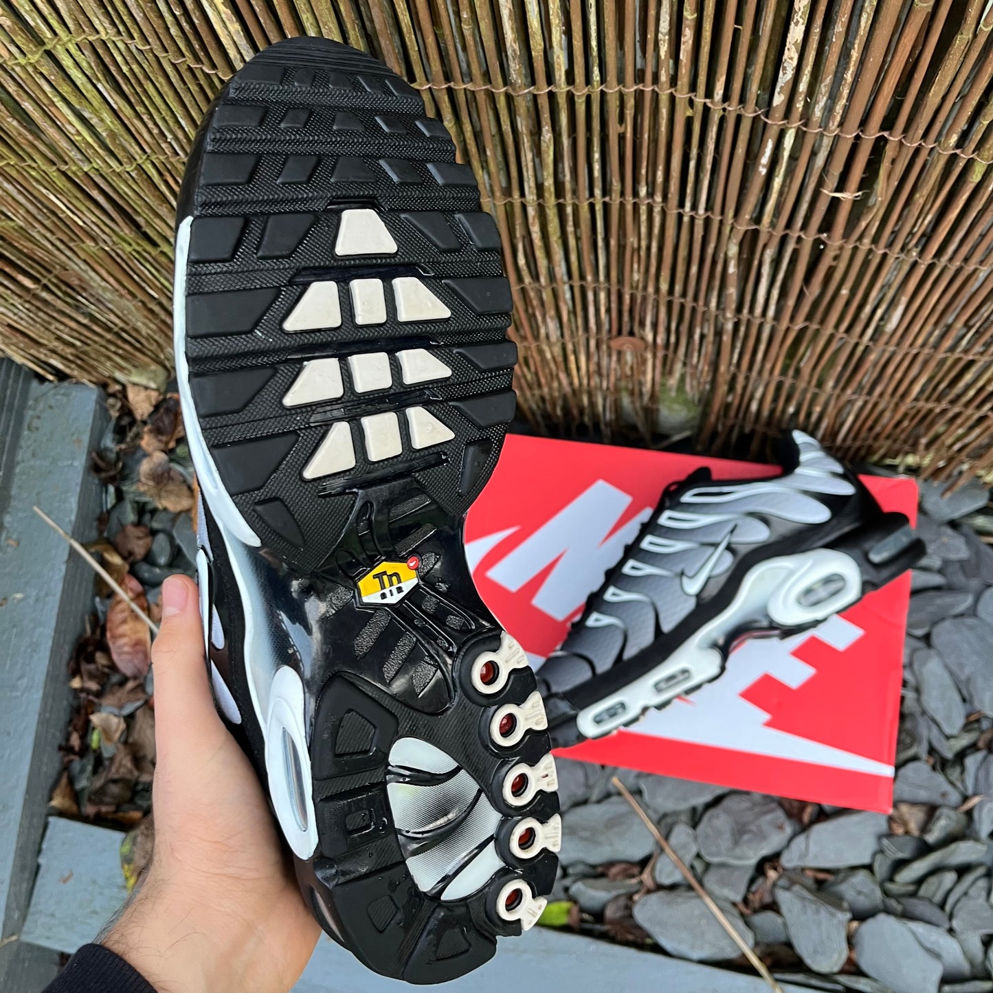 Nike Air Max Plus TN - Smoke Grey - UK11