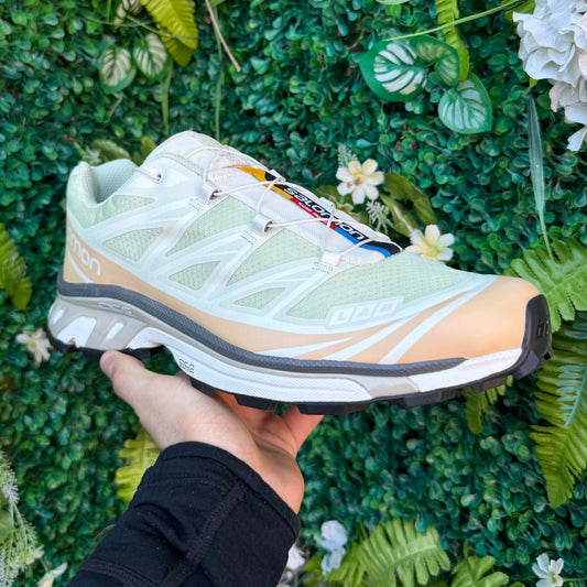 Salomon XT-6 - Aloe Wash / Hazelnut / Feather Grey - UK11 - Brand New