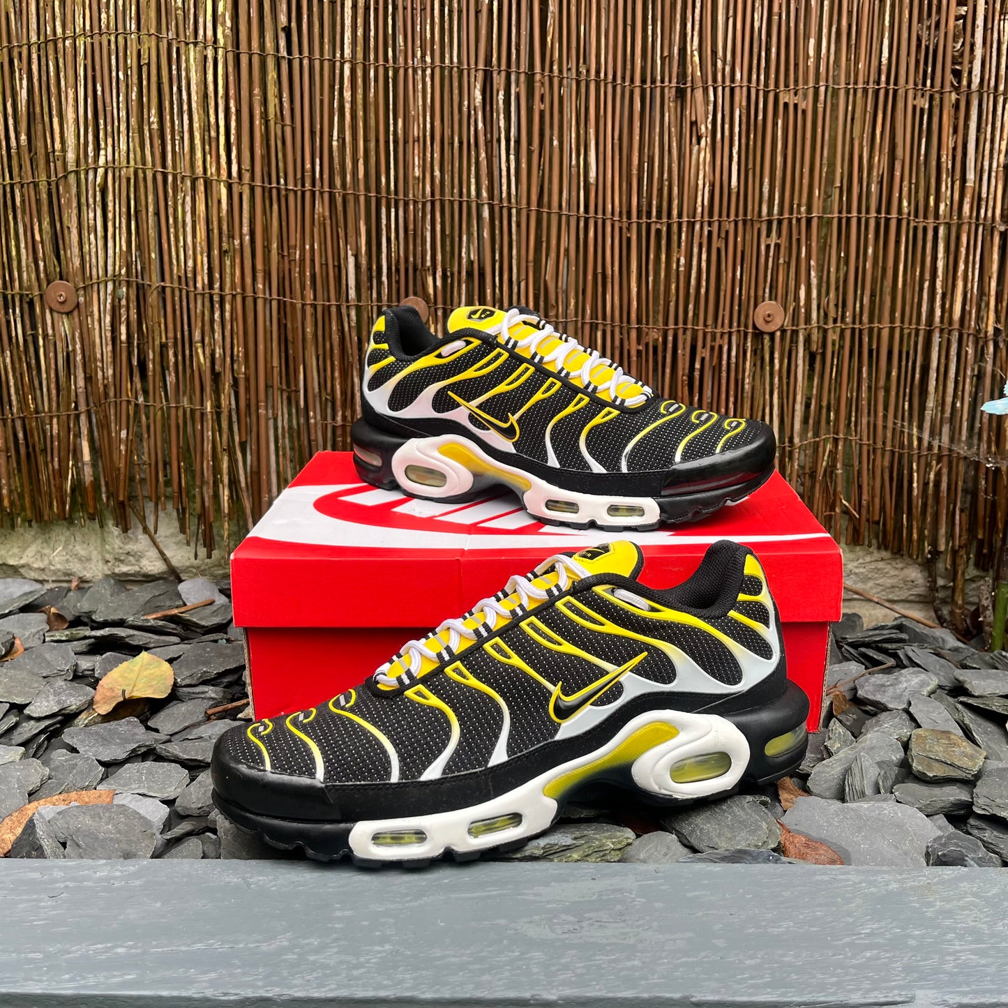 Nike Air Max Plus TN Black / Tour Yellow - UK11