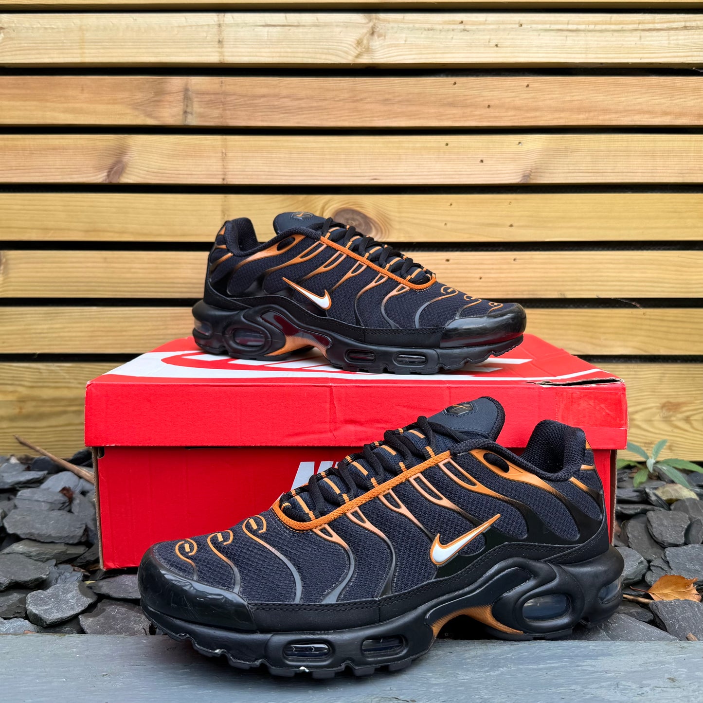 Nike Air Max Plus TN - Obsidian Monarch - UK7