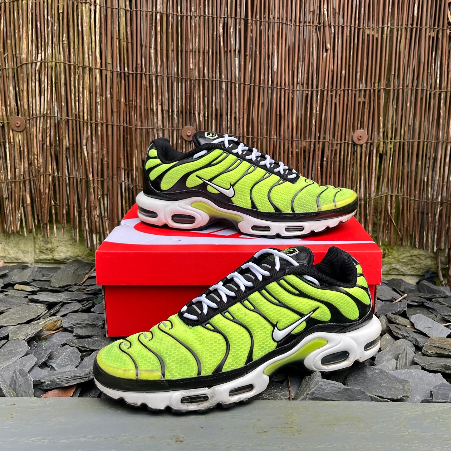 Nike Air Max Plus TN Volt (2021) UK11