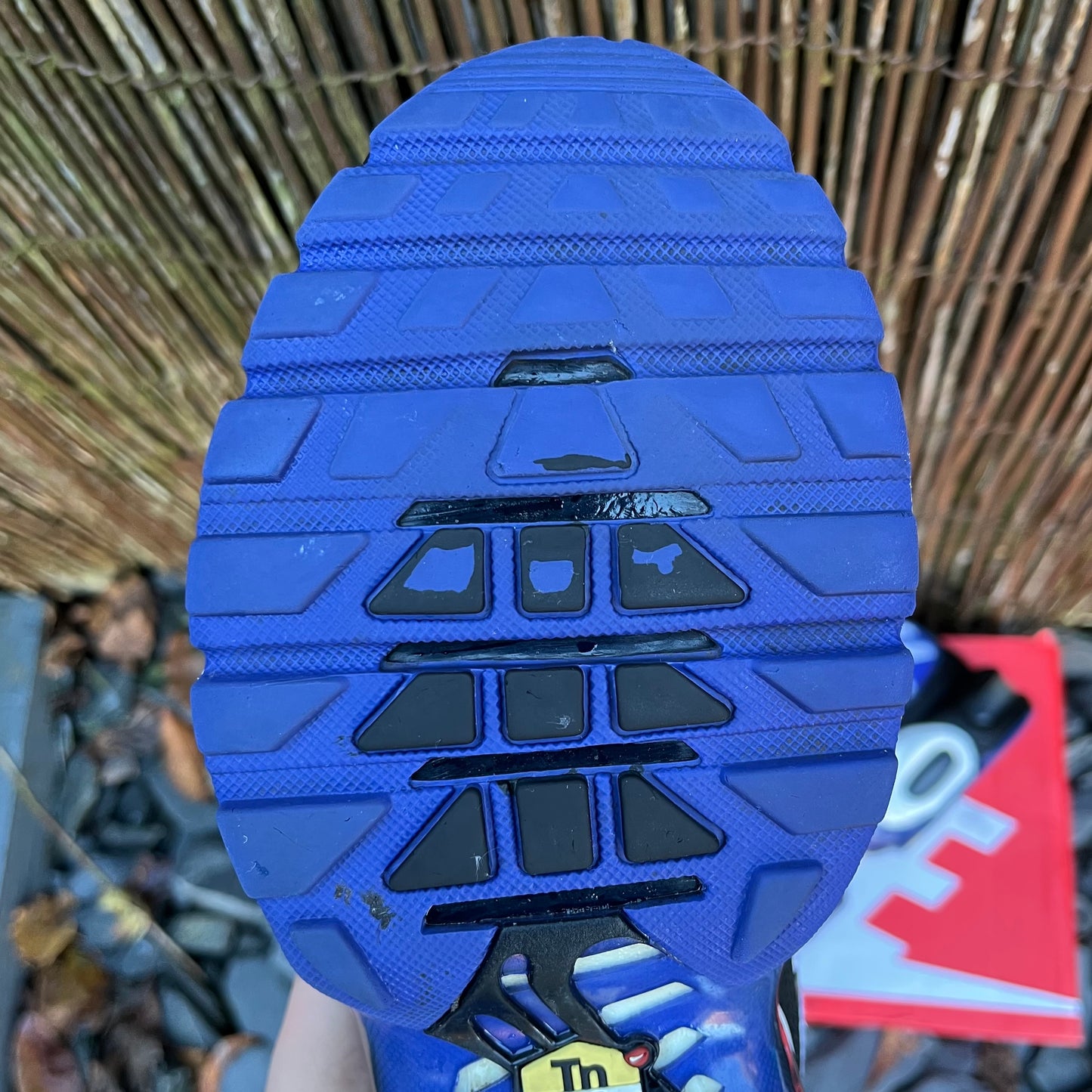 Nike Air Max Plus TN - Persian Violet - UK7