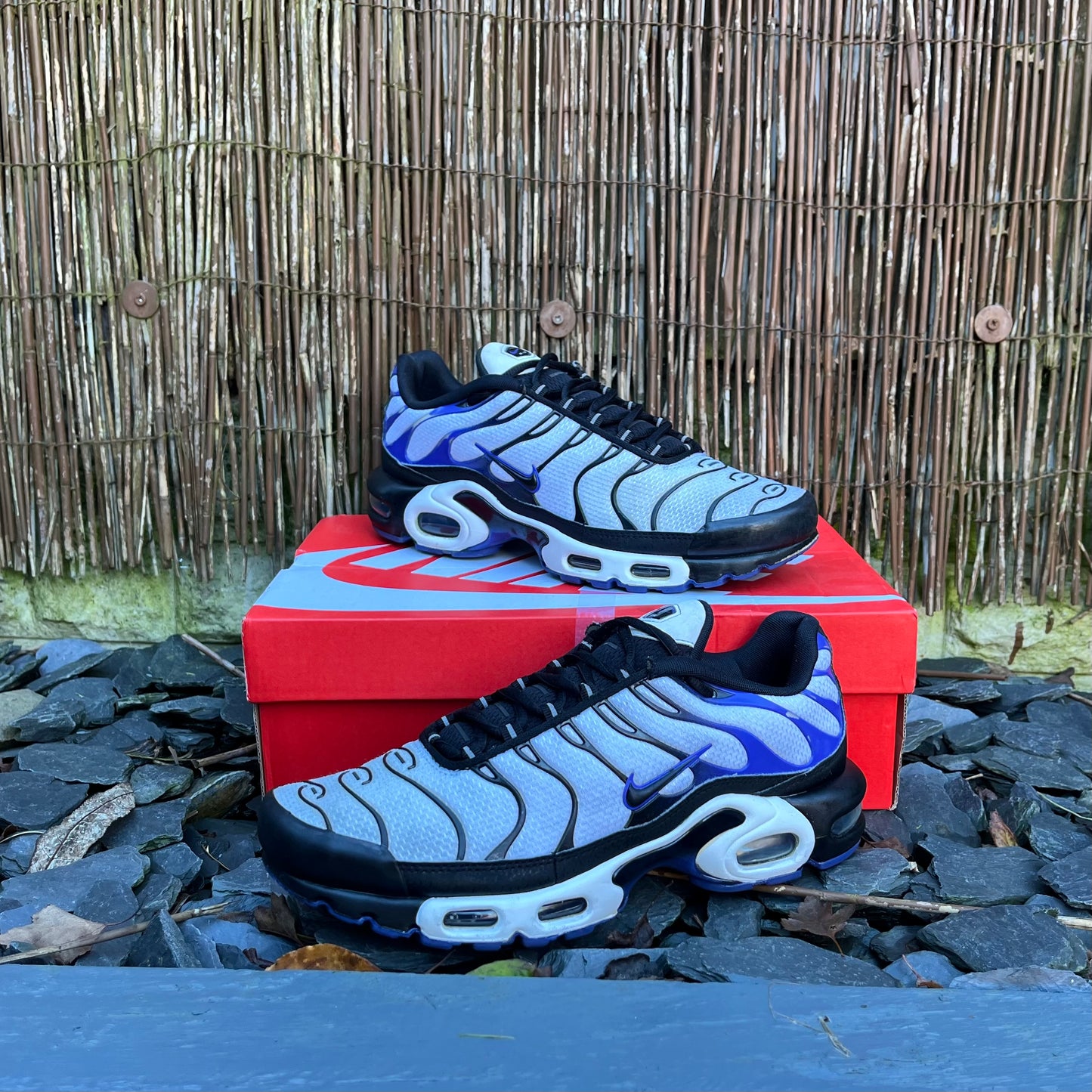 Nike Air Max Plus TN - Persian Violet - UK7