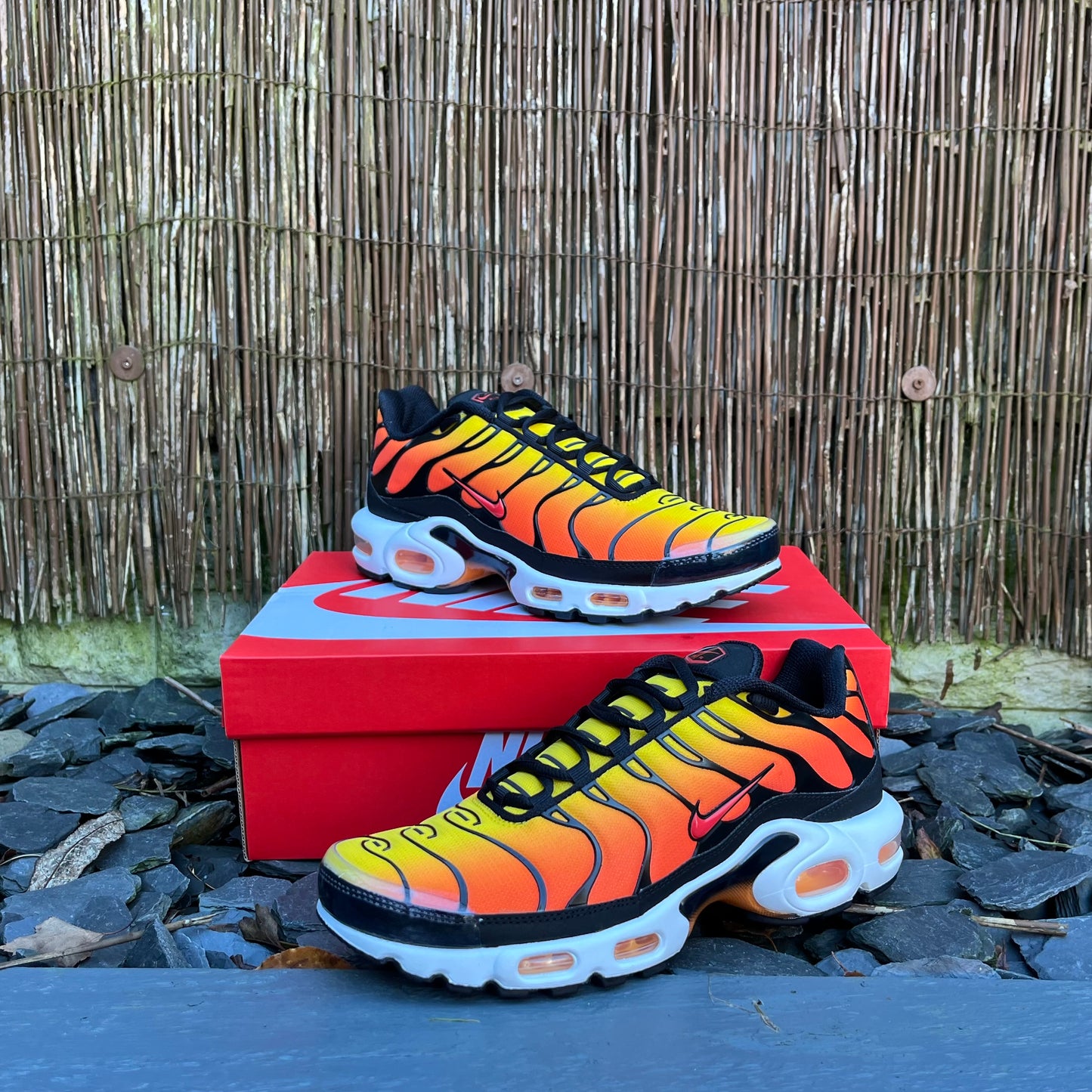 Nike Air Max Plus TN - Sunset “2024” - UK8