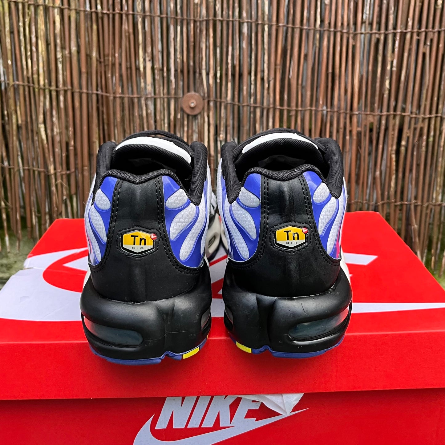 Nike Air Max Plus TN Persian Violet / White
