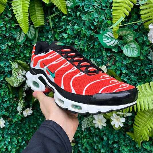 Nike Air Max Plus TN - Team Orange / Neptune - UK10