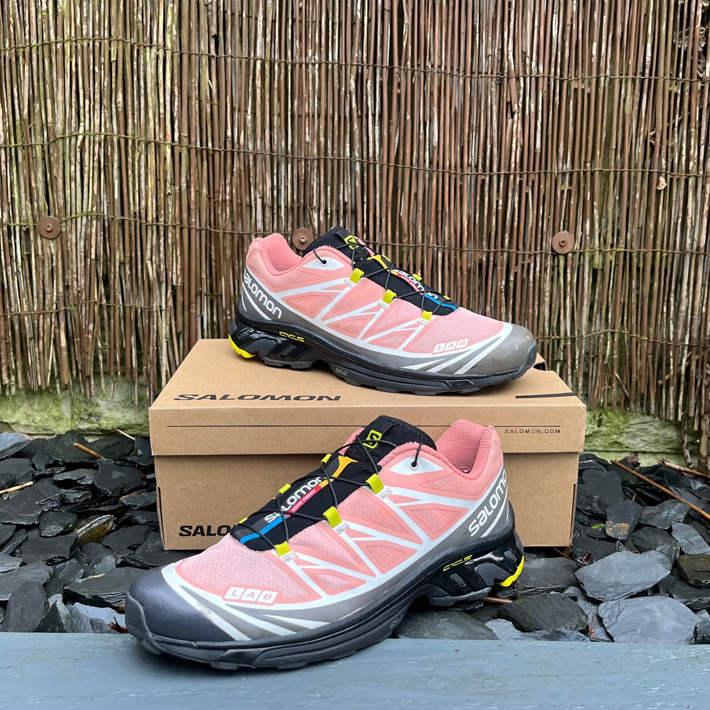 Salomon XT-6 - Blooming Dahlia - UK10