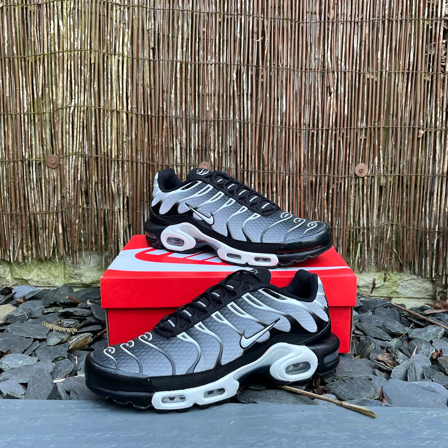 Nike Air Max Plus TN - Smoke Grey - UK11