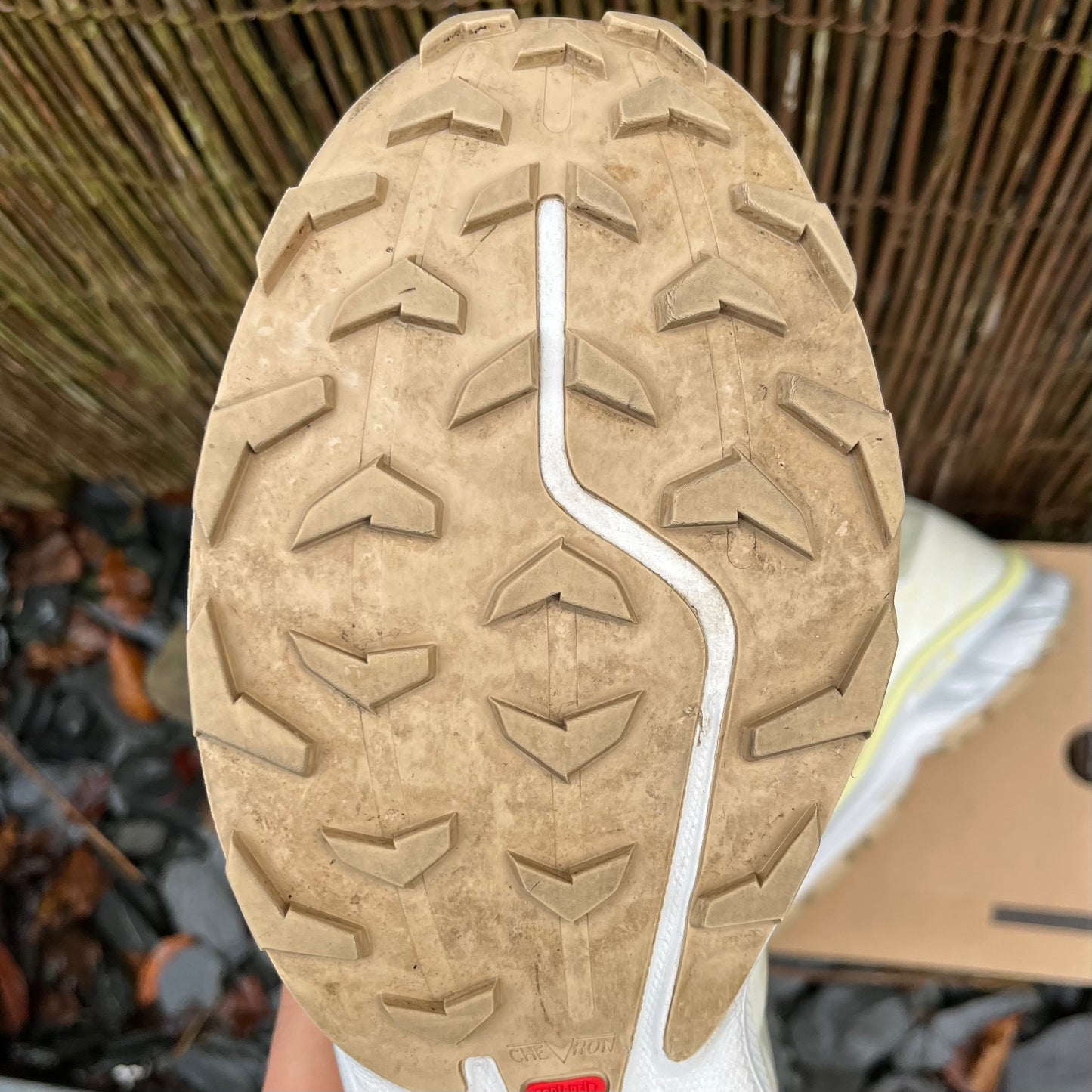 Salomon XT-6 - Yellow Iris - UK8.5