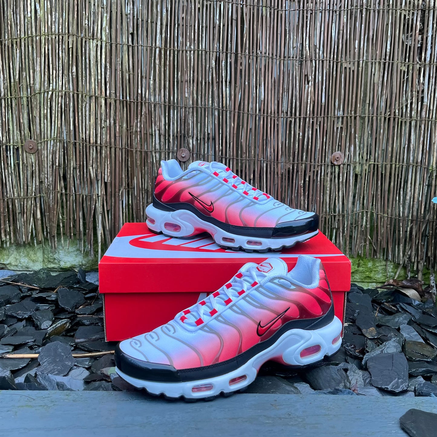 Nike Air Max Plus TN - Gym Red - UK9