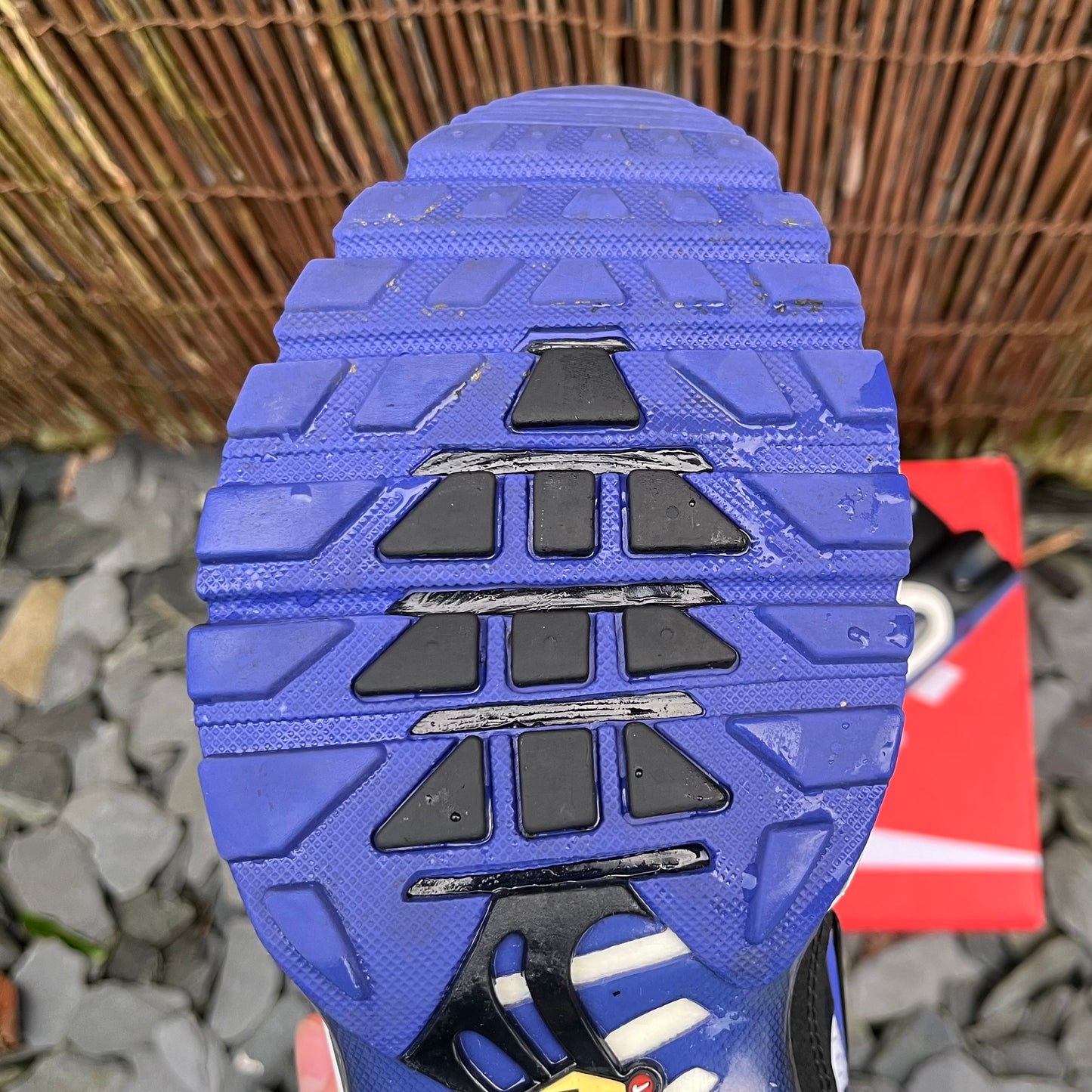 Nike Air Max Plus TN Persian Violet / White