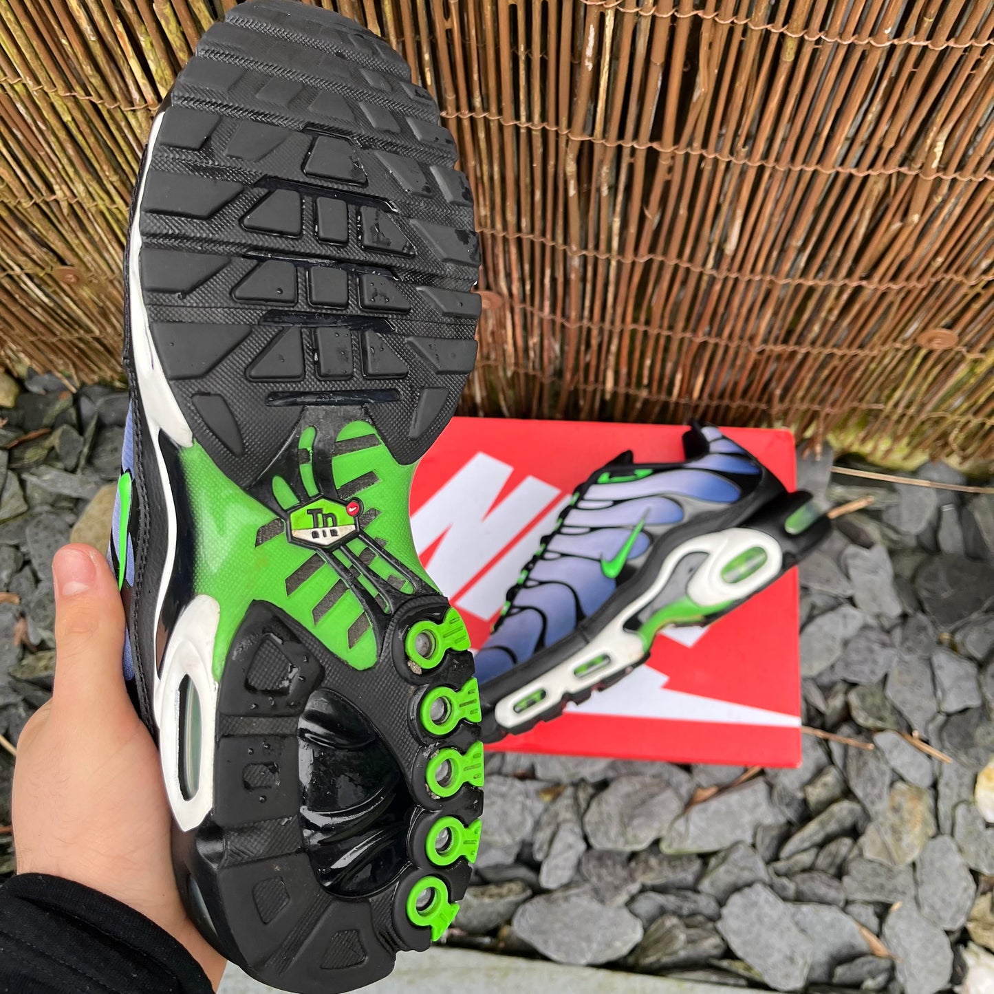 Nike Air Max Plus TN Icons Royal Blue / Scream Green UK10
