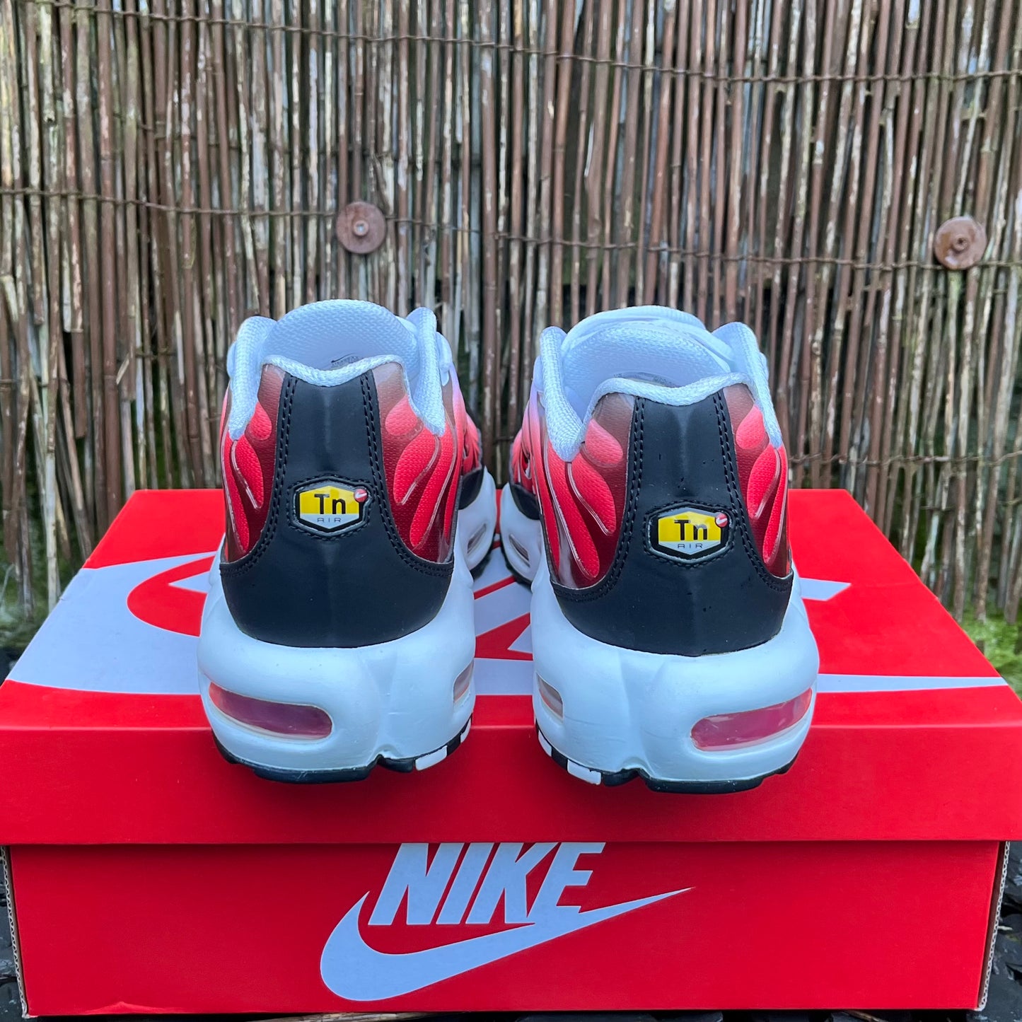 Nike Air Max Plus TN - Gym Red - UK9