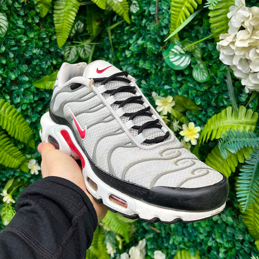 Nike Air Max Plus TN Photon Dust Varsity