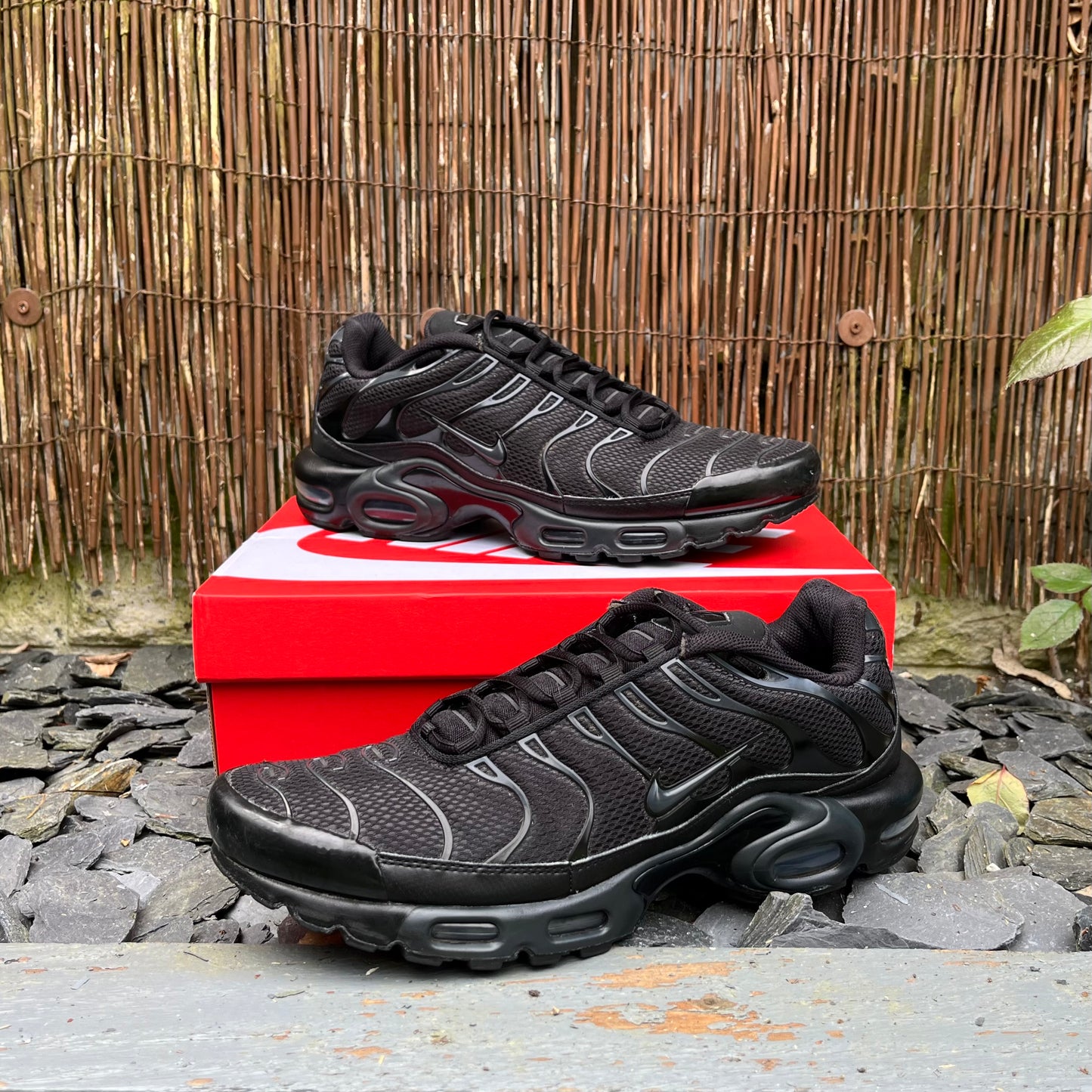 Nike Air Max Plus TN Black / Grey UK11