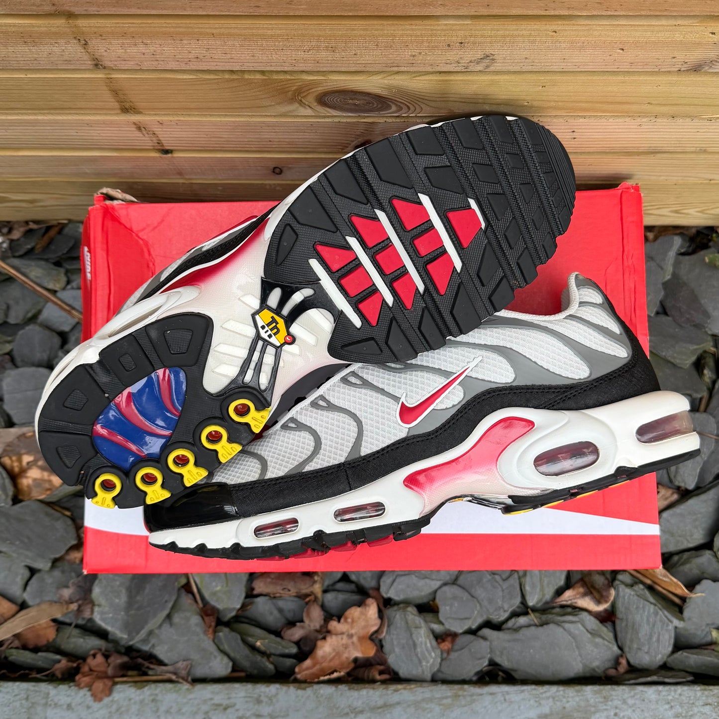Nike Air Max Plus TN - Photon Dust - UK11