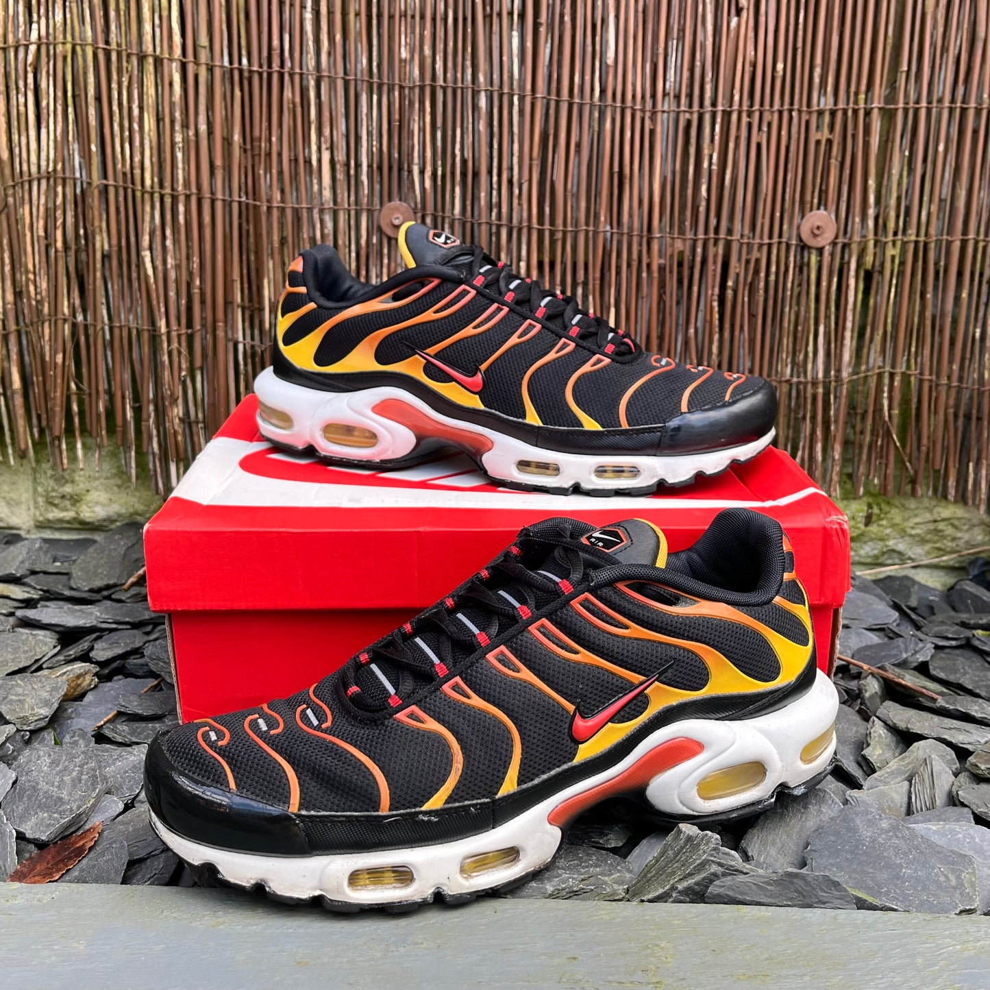 Nike Air Max Plus TN Reverse Sunset