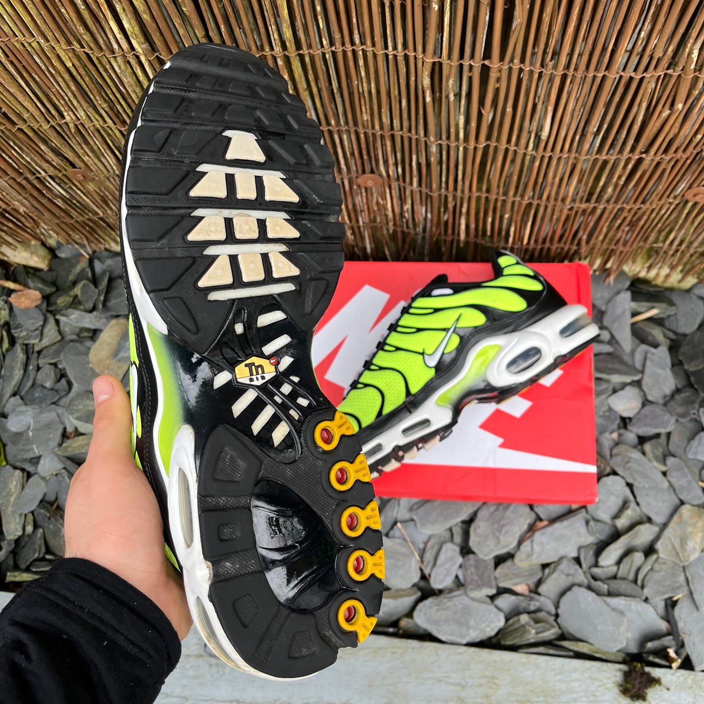 Nike Air Max Plus TN 2021 Volt Green UK11