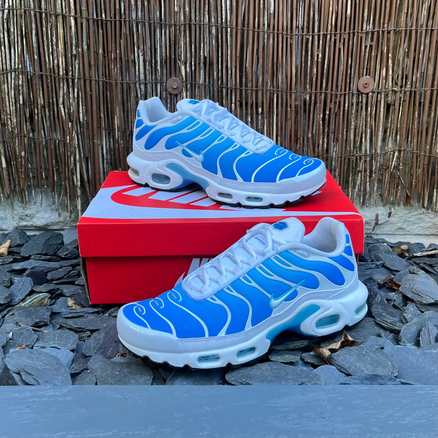 Nike Air Max Plus TN Battle Blue UK7