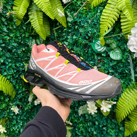 Salomon XT-6 - Blooming Dahlia - UK10