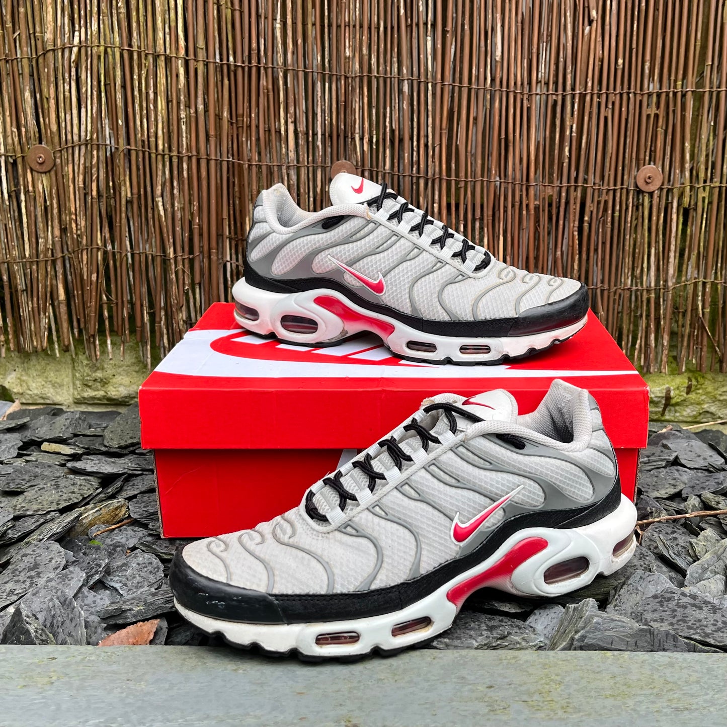 Nike Air Max Plus TN Photon Dust Varsity