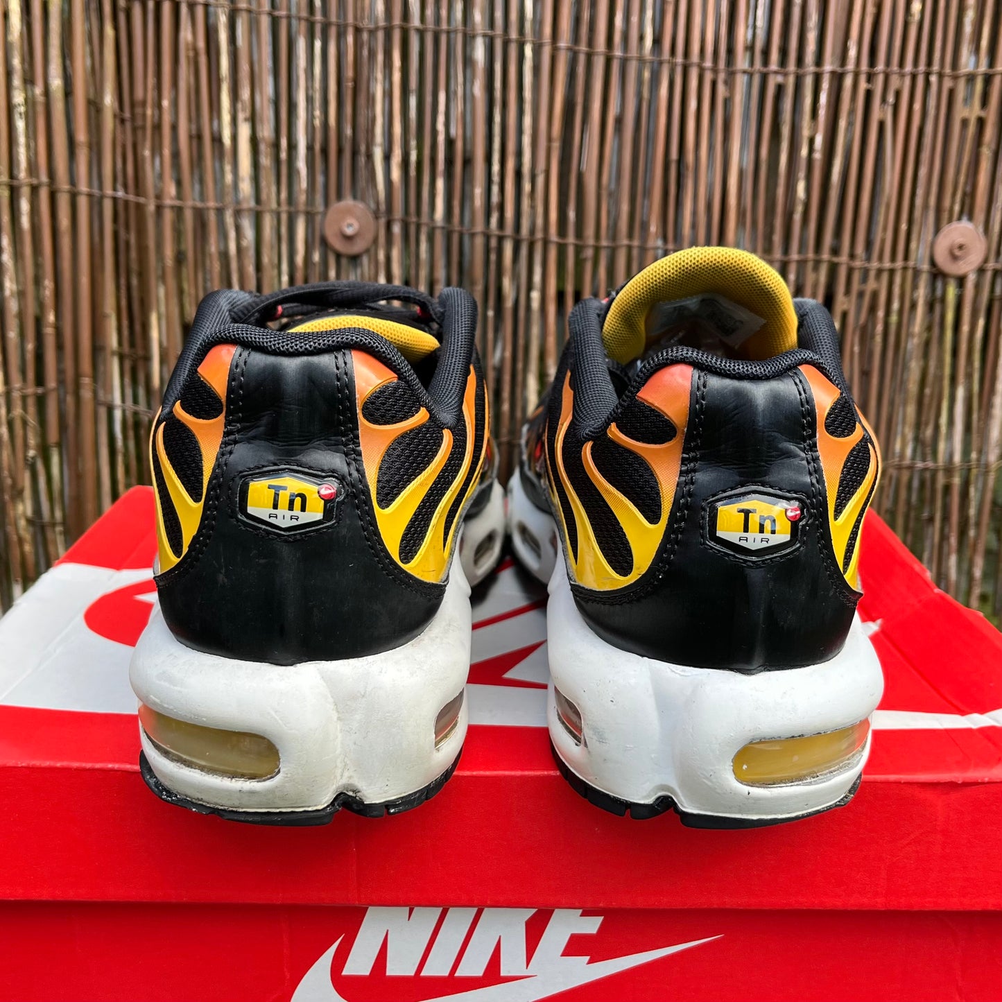 Nike Air Max Plus TN Reverse Sunset