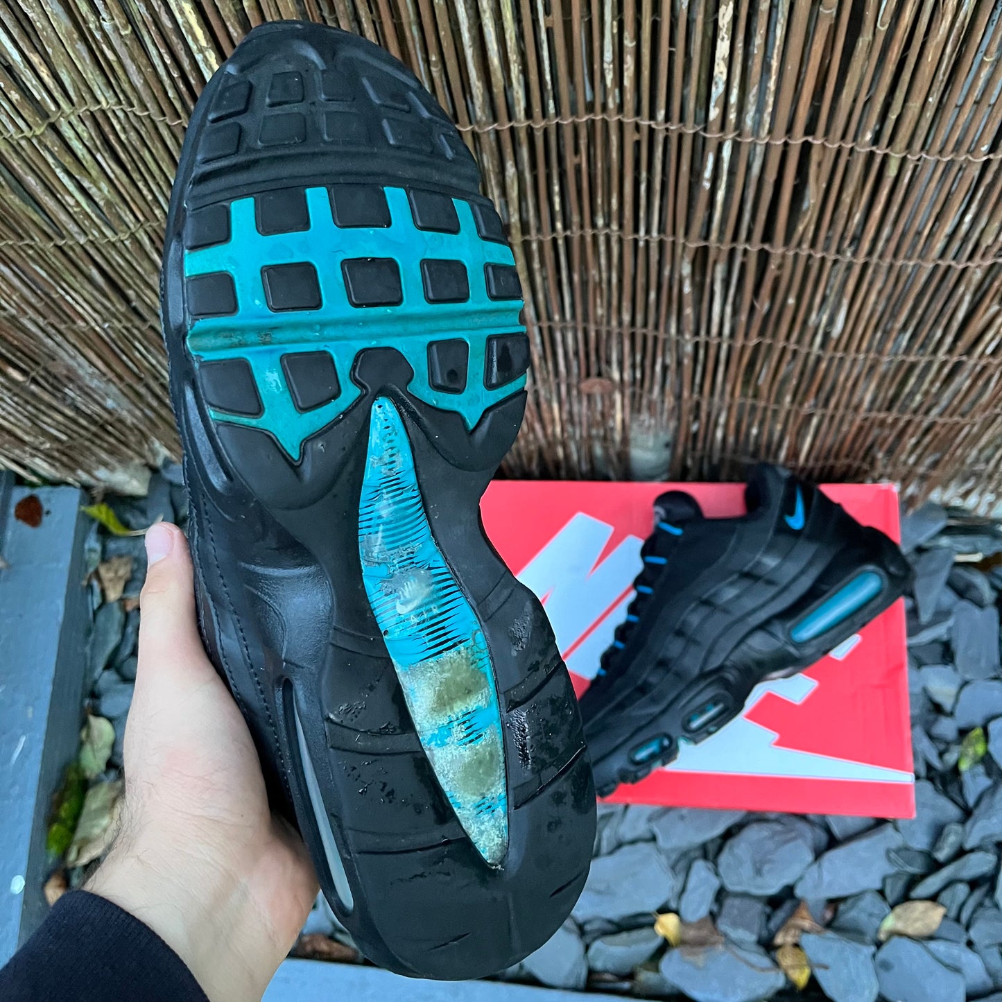 Nike Air Max 95 Black / Laser Blue UK10