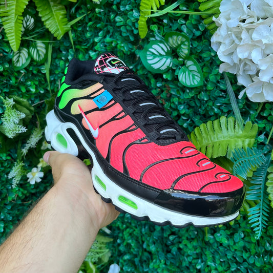 Nike Air Max Plus TN Worldwide Watermelon UK9