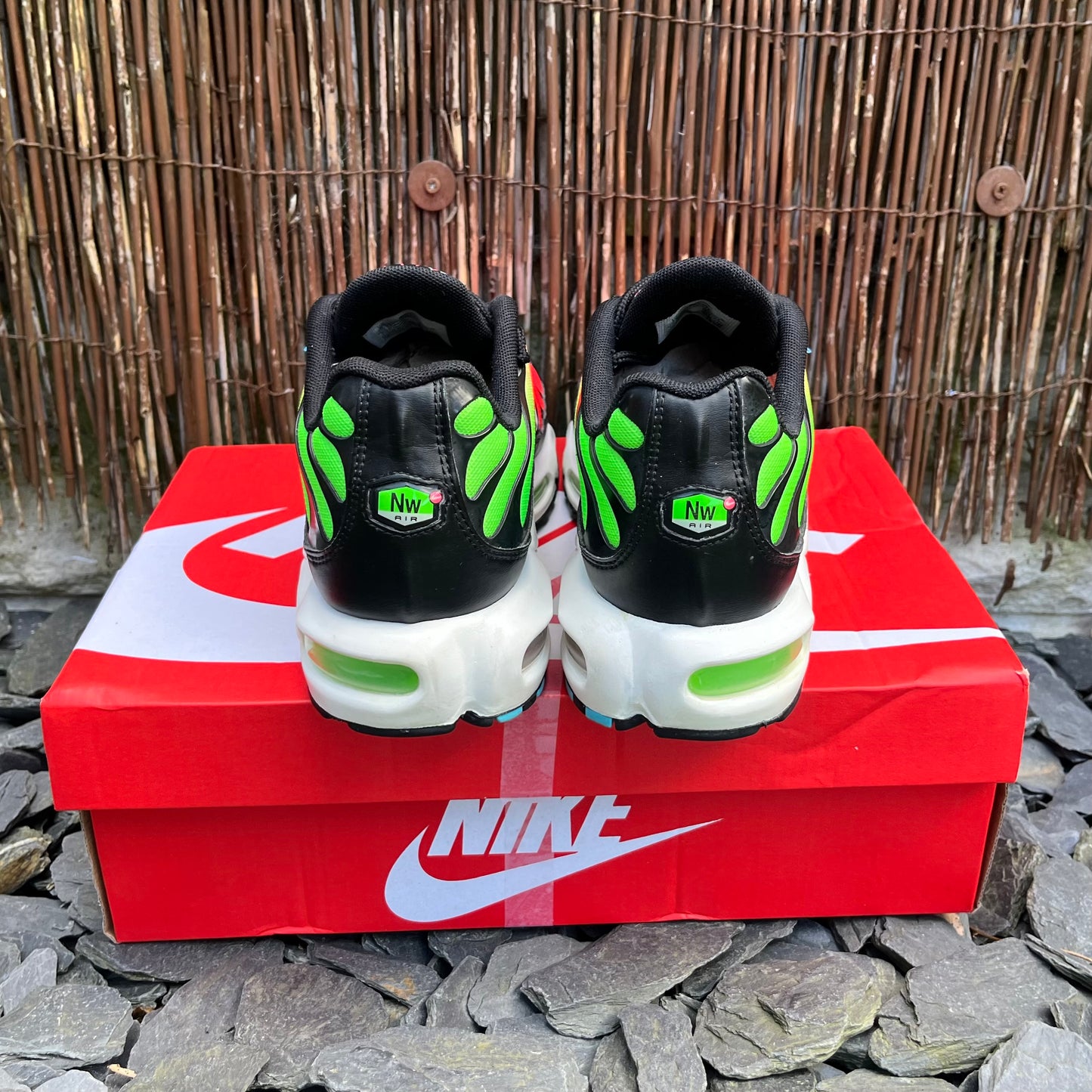 Nike Air Max Plus TN Worldwide Watermelon UK9