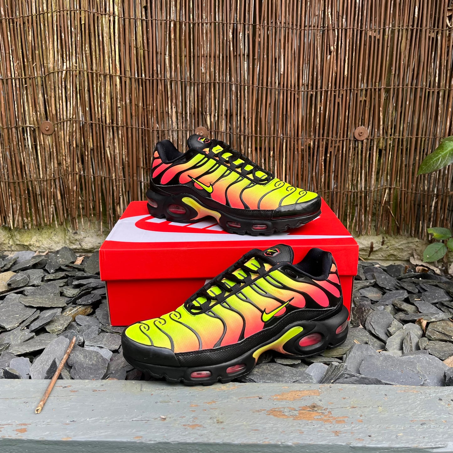 Nike Air Max Plus TN Volt / Solar UK7.5