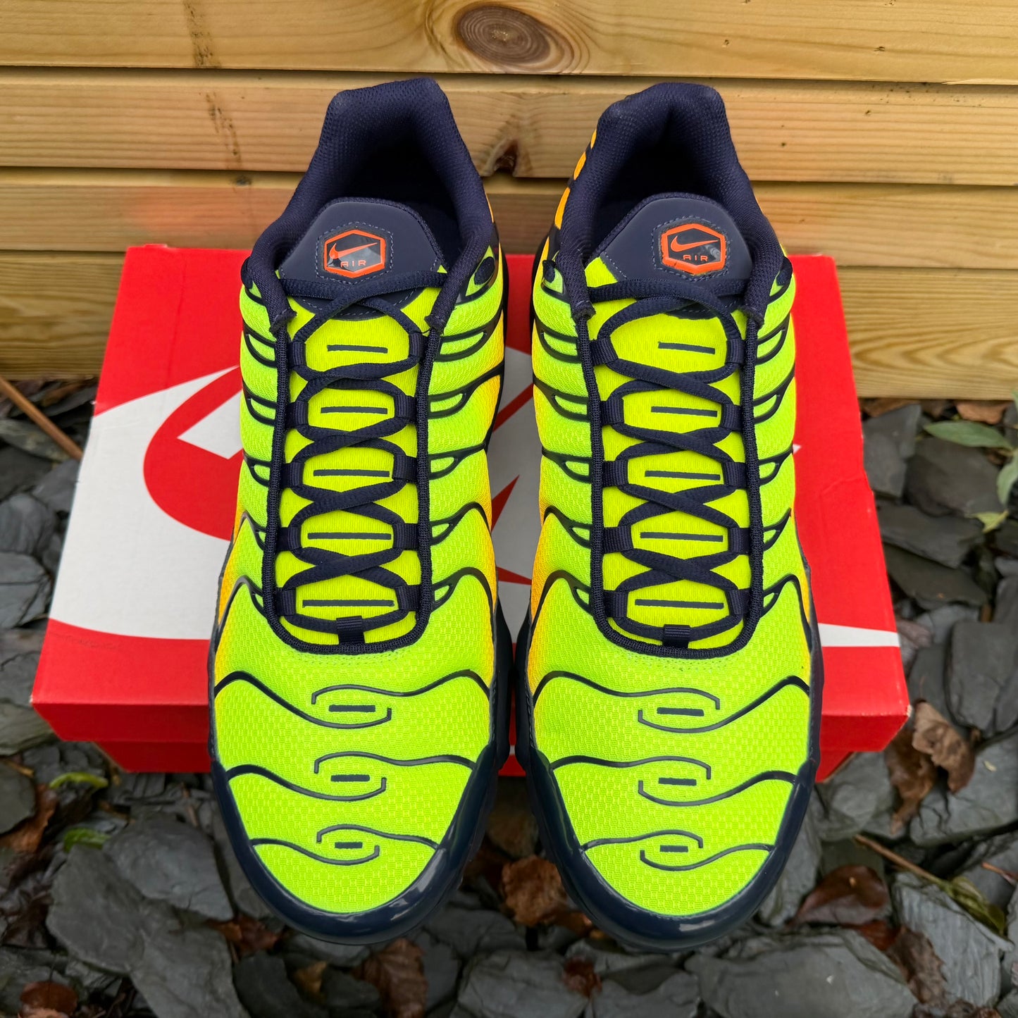 Nike Air Max Plus TN - Lemon Venom - UK12 - Brand New