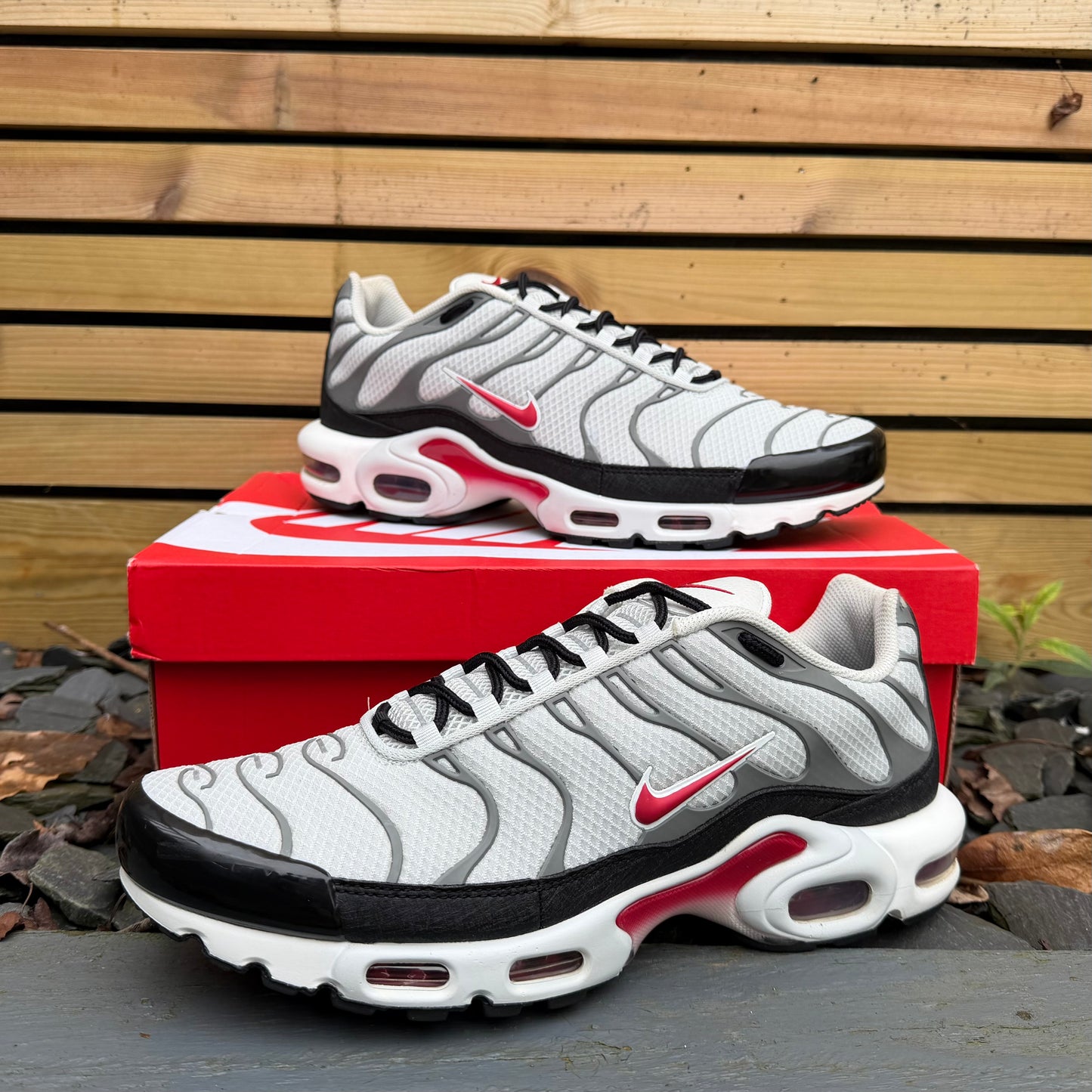 Nike Air Max Plus TN - Photon Dust - UK11