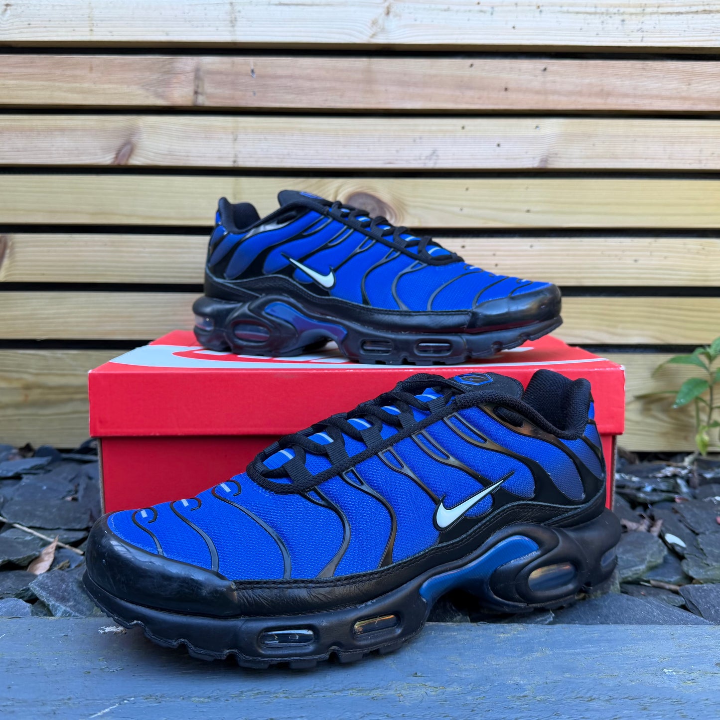 Nike Air Max Plus TN Premium - Racer Blue - UK9.5