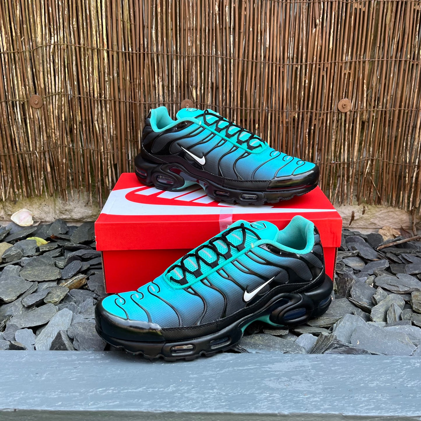 Nike Air Max Plus TN Light Retro UK11