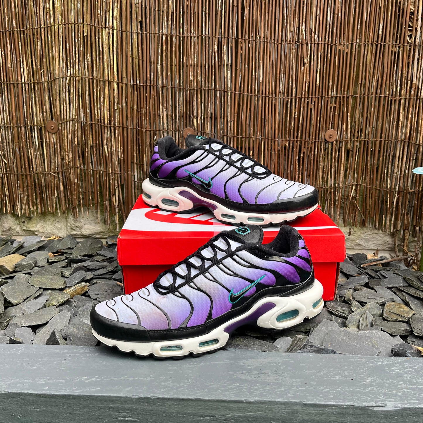 Nike Air Max Plus TN Reverse Grape UK12